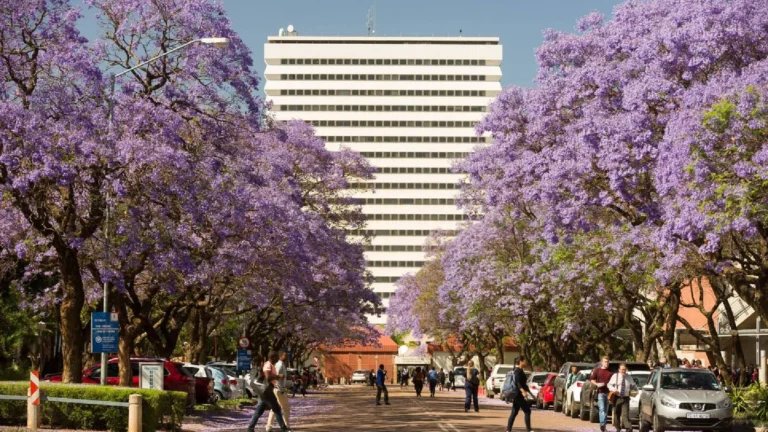 univ-pretoria